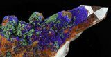 Quartz Crystals With Azurite & Malachite - Spectacular! #38586-3